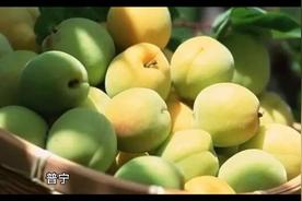 如何成为一个合格的管理者论文范文800字