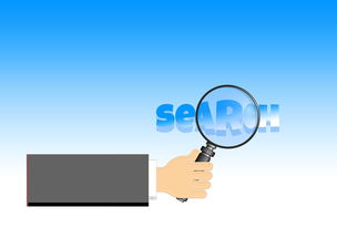 SEO优化免费软件有哪些