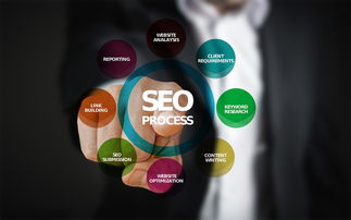 SEO是什么，什么是搜索引擎