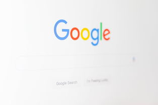 如何查询自己名下是否注册过公司