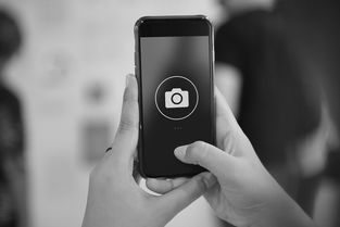 如何恢复iphone彻底删除的照片视频教程