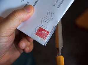 卵巢保养方法