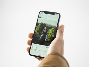 iphone如何恢复删除的照片和视频教程手机版