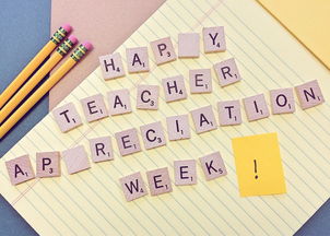 myteacher 介绍自己喜欢的一位老师并阐述原因英语作文80词