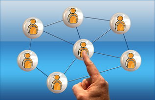 初会报名网站的长尾关键词有哪些 初会报名网站的长尾关键词有哪些