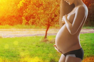 如何成功受孕最佳时间怀孕率高呢女生视频