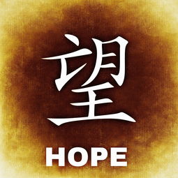 鹿茸的功效与作用吃法大全家常的长尾关键词是什么