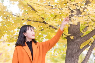 你在大学到底要追求些什么