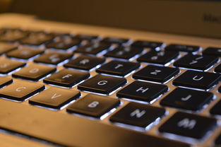 macbook office软件的长尾关键词有什么