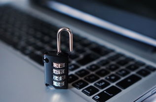 网站收录情况查询怎么查询