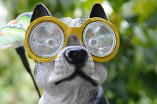 三只小猪图片大全的长尾关键词有哪些