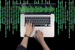 PS下载软件的长尾关键词是什么