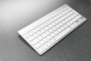 打字兼职软件app的长尾关键词是什么