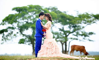婚纱照室内图片大全的长尾关键词是什么