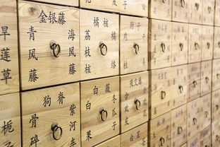 中华中医药大全的长尾关键词有什么