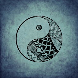 财多身弱的解决方法