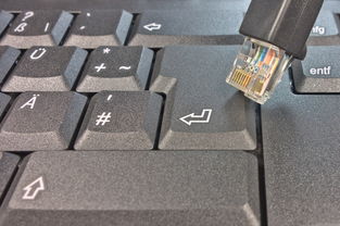 造图软件下载的长尾关键词有什么