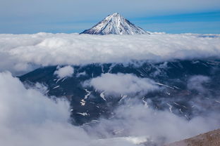 富士山软件的长尾关键词有哪些