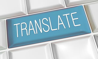 网站数字字体的长尾关键词有什么