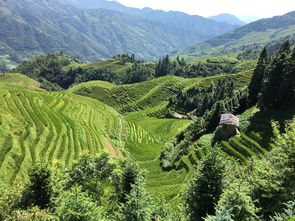 桂林旅游必去十大景点图片大全的长尾关键词有哪些