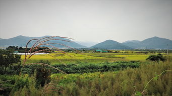 湖北省周边省份旅游景点大全的长尾关键词是什么