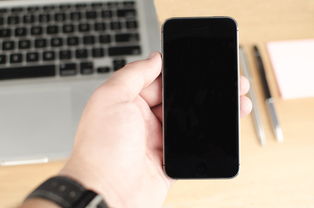 国外软件下载app的长尾关键词有什么