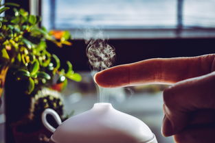 身弱财旺如何发财呢女命