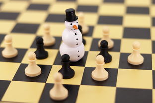 棋类图片大全的长尾关键词有哪些