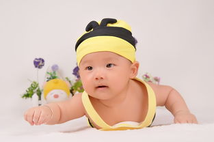 小鸟声音大全的长尾关键词有什么