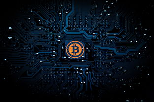 网站侵权问题的长尾关键词是什么