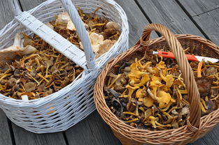 夏天做什么菜吃有食欲的长尾关键词是什么