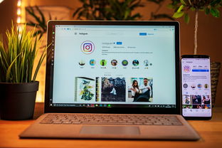 mac上的 office办公软件的长尾关键词是什么