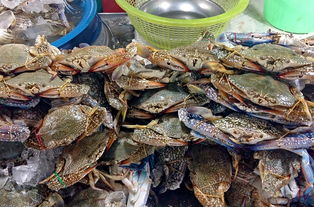 海南美食大全的长尾关键词有什么