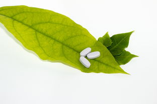 植物草药图片大全的长尾关键词是什么